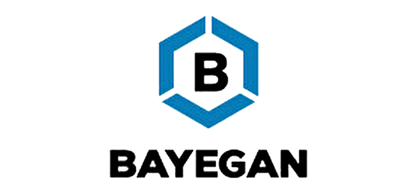 Bayegan Dış Tic. A.Ş Logo
